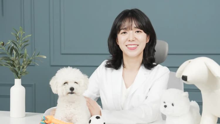 슬기로운 보호자 생활: 반려견과 행복하고 안전하게 생활하기