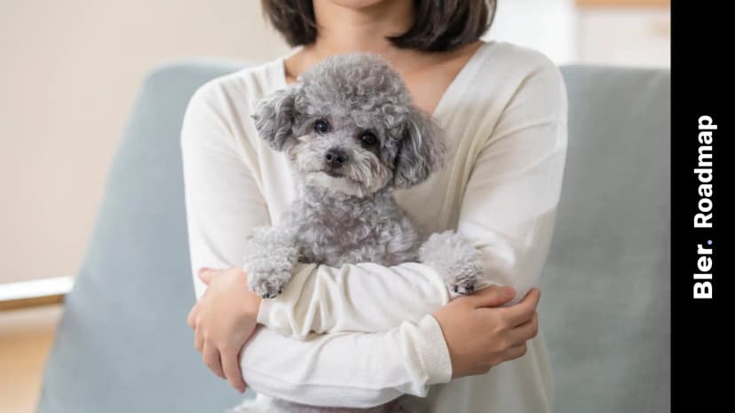 초보 보호자를 위한 반려 생활 실전 올인원